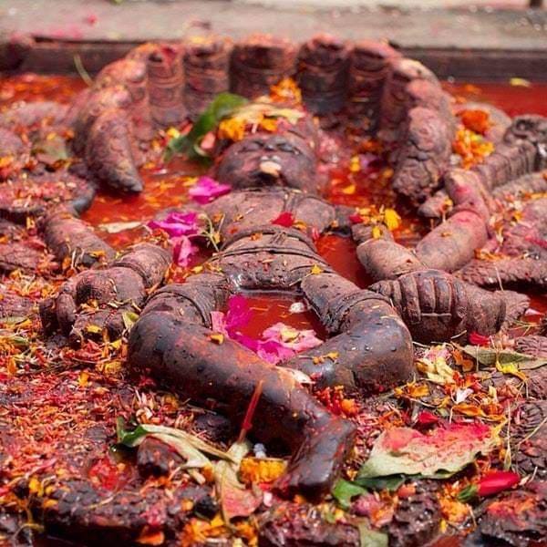 गोत्र के हो? कुन थरको कुन गोत्र, कसरी भयो सुरुवात? पढ्नुहोस