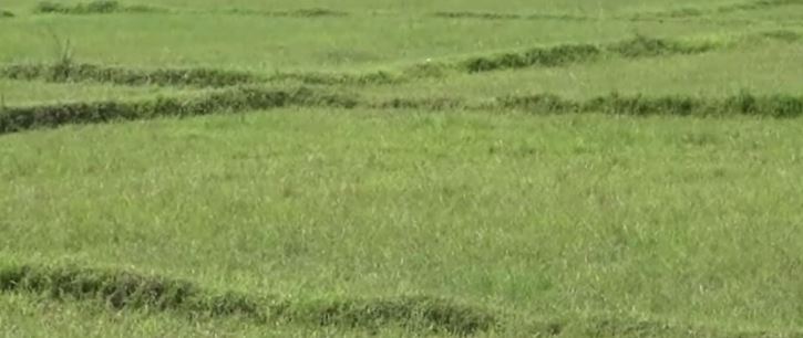 हदबन्दीभन्दा बढी जग्गा सरकारले जफत गर्ने | OmkarTimes.com