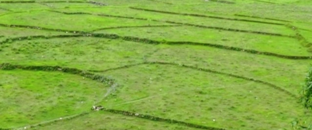 विप्लव समूहद्वारा ४४ विगाह जग्गा कब्जा