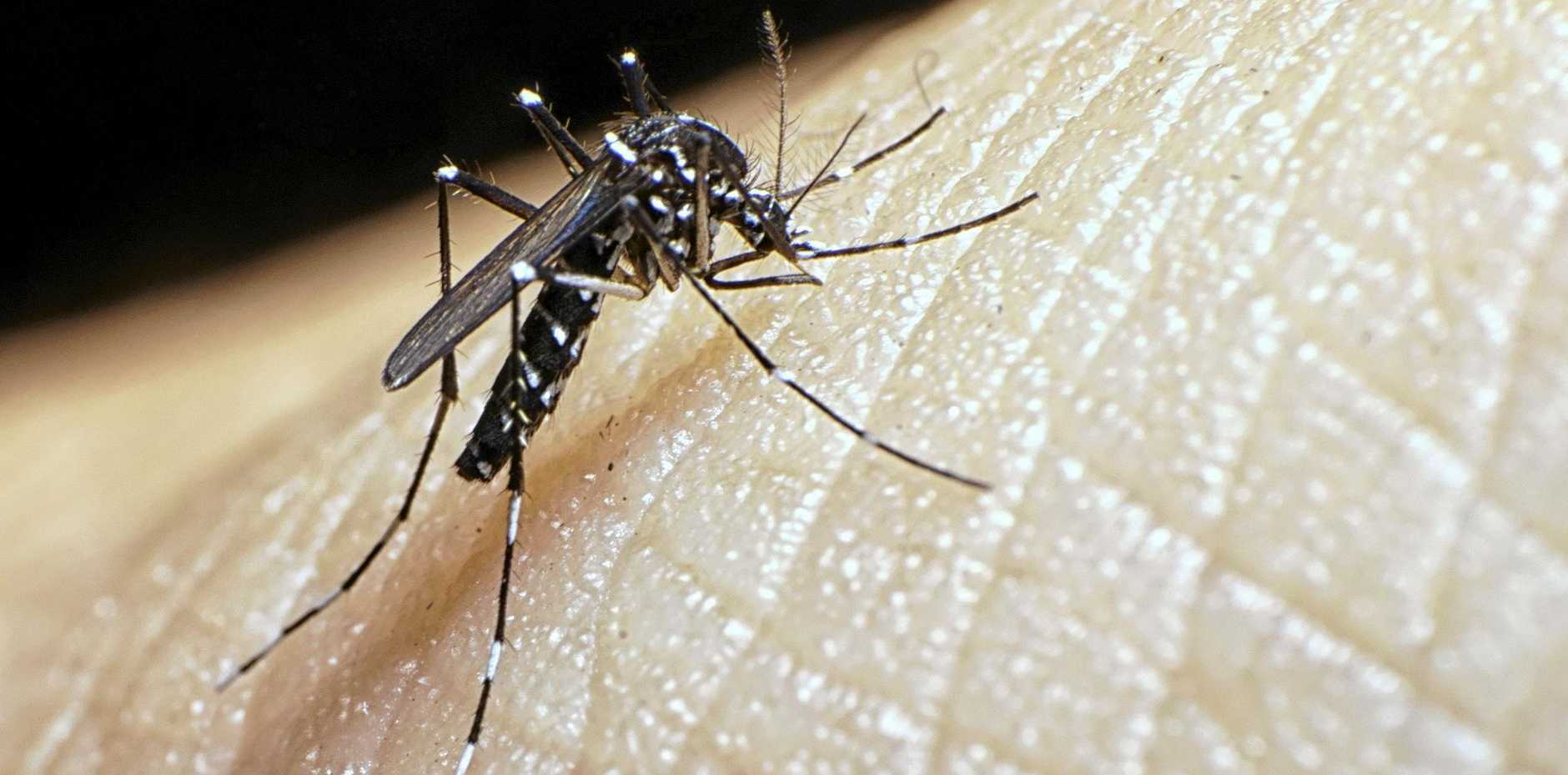७० हजारलाई डेंगु, वैशाखयता अस्पतालमै पुगेकै बिरामी ७ हजार