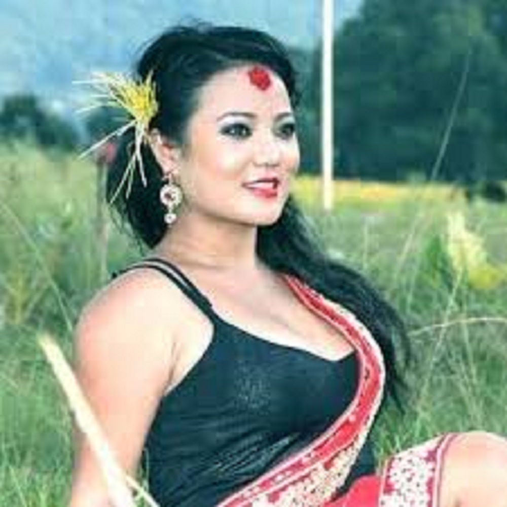 Websoft IT Nepal Pvt. Ltd.