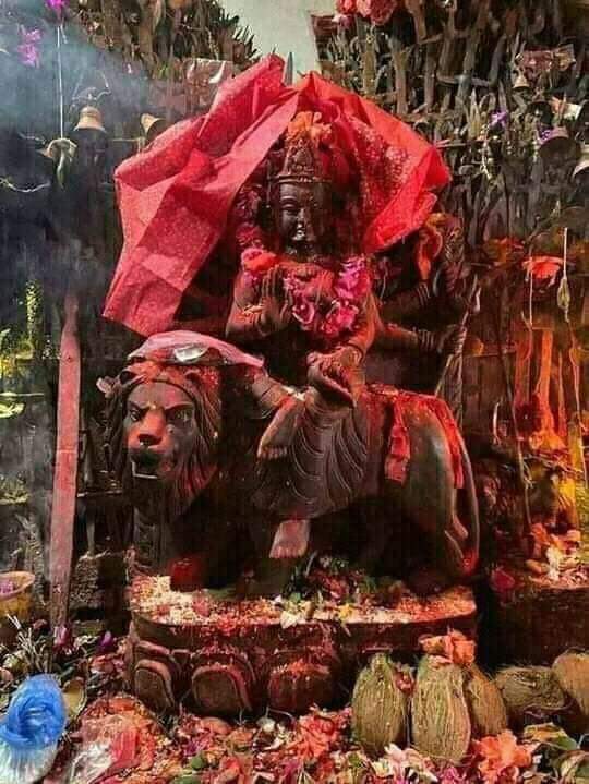 आज माघ १९ गते आइतबार , पाथीभरा माताको दर्शन गर्दै हेर्नुस् आजको राशिफल