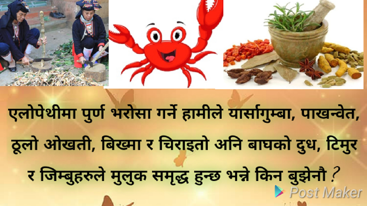 Websoft IT Nepal Pvt. Ltd.