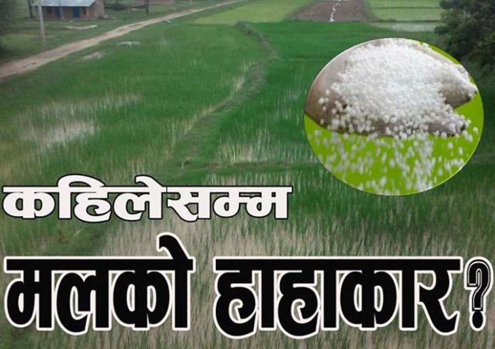 बर्सेनि मलको हाहाकार, किन ?, खासमा के हो ?