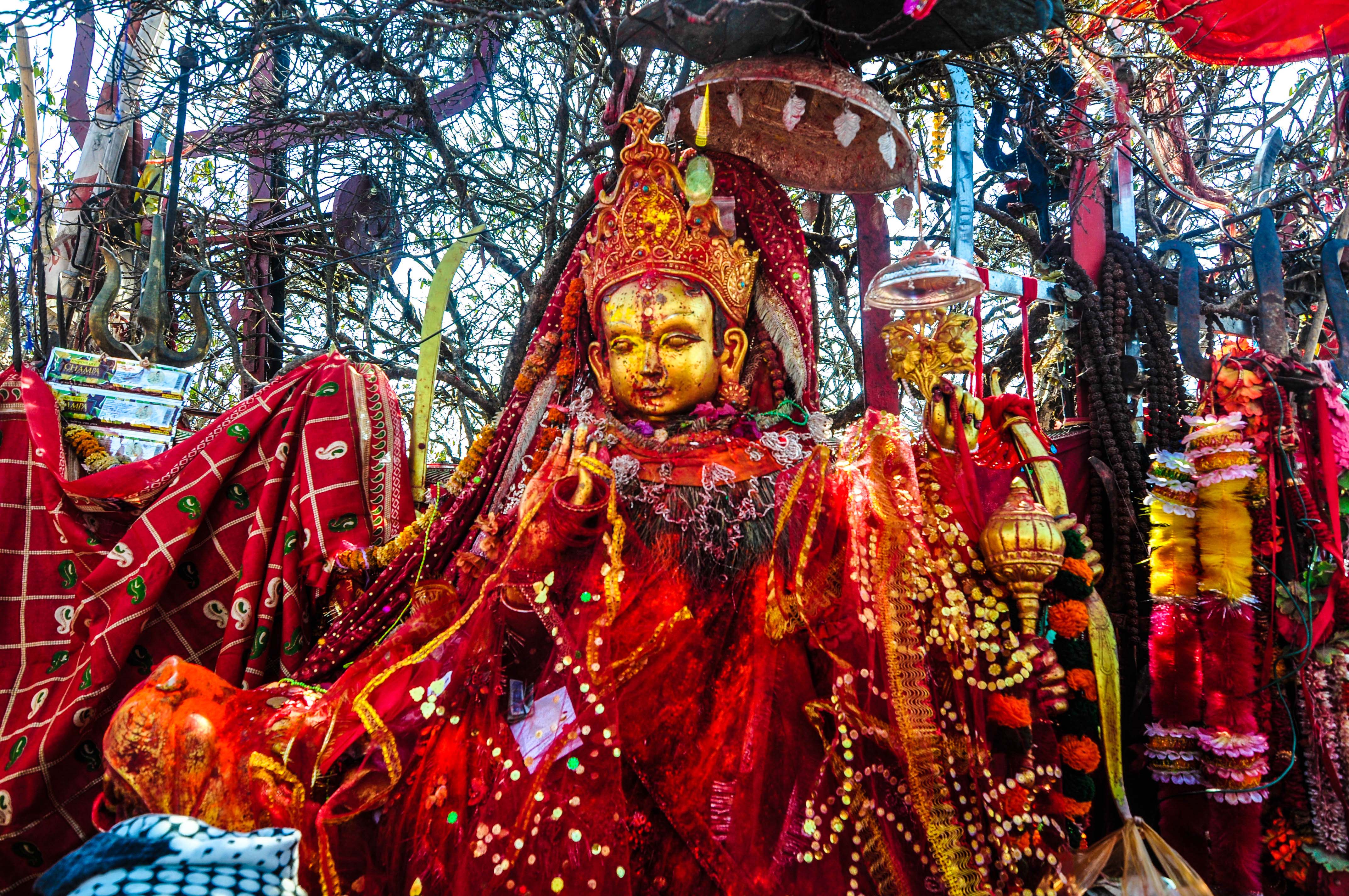 आज साउन ११ गते आइतबार , हेर्नुस् आजको राशिफल