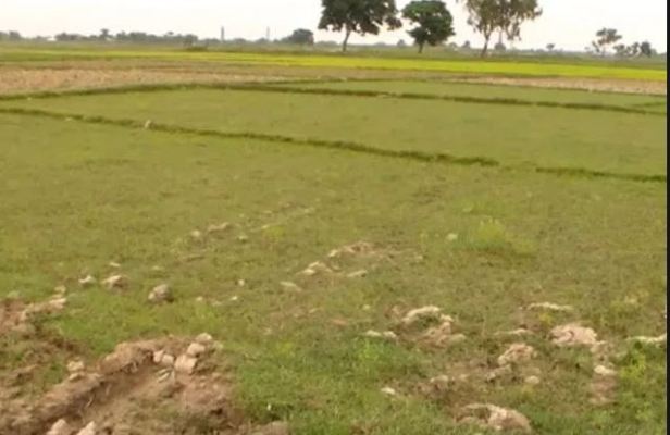 करोडौं पर्ने सरकारी जग्गा वर्षौंदेखि व्यक्तिको कब्जामा