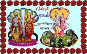 Websoft IT Nepal Pvt. Ltd.