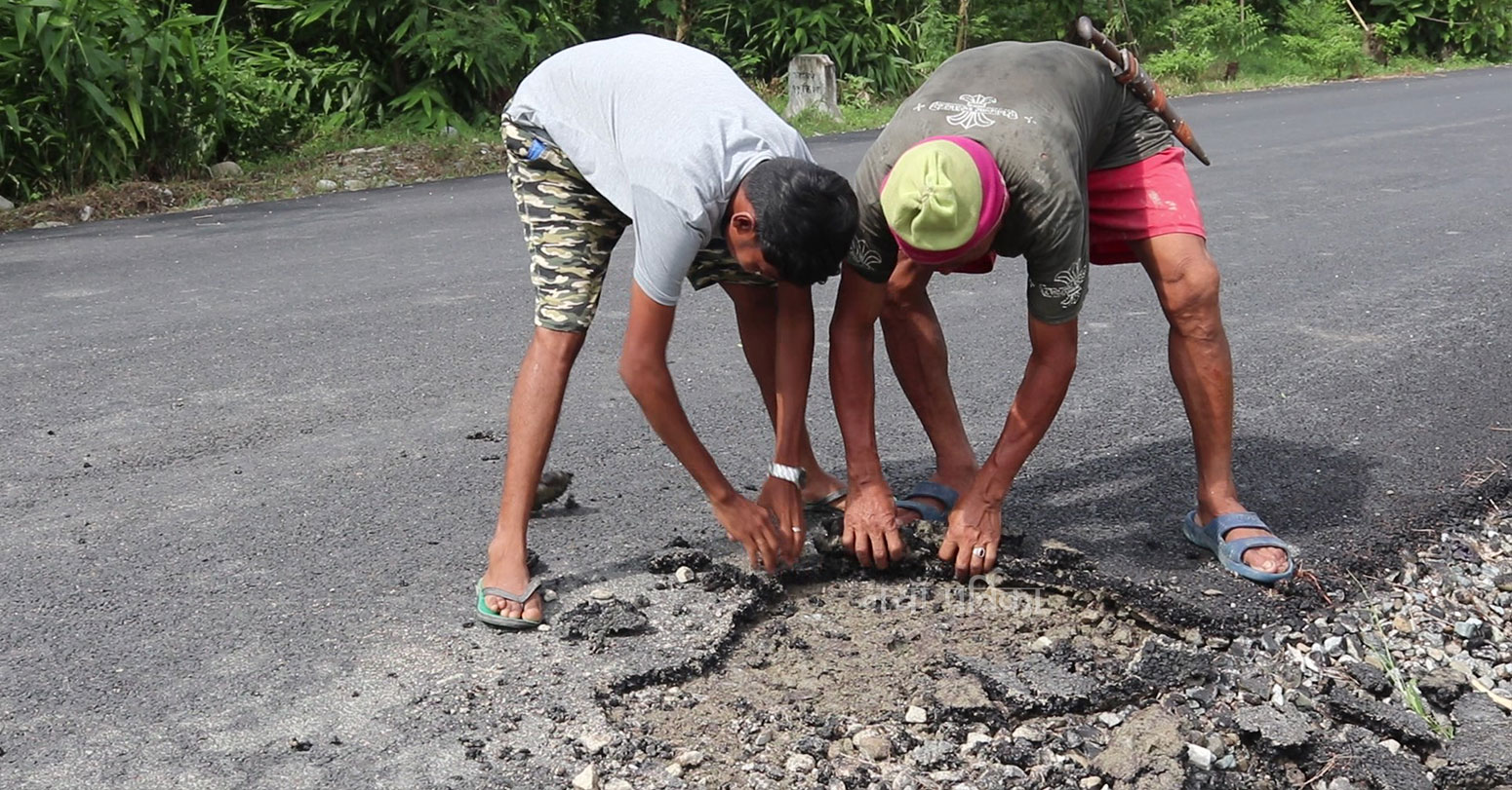 भगमान गौतमबुद्ध जन्मस्थल तिलौराकोट जोड्ने बाटोको पिच एक हप्तामै उक्कियो
