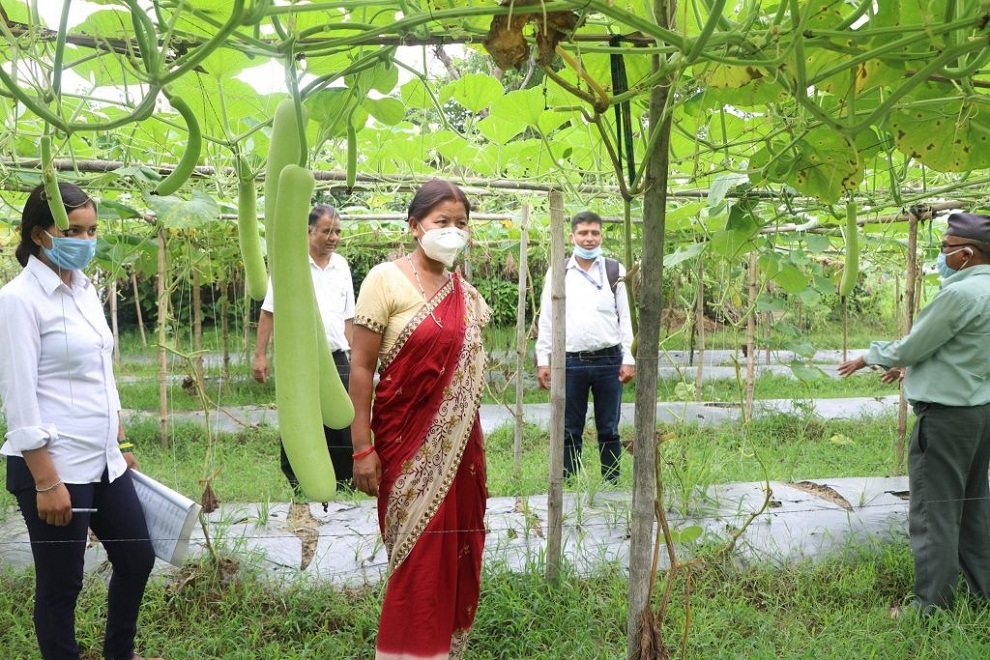 मुग्लानमा रोजगारी गुम्यो, गाउँमा व्यवसाय थालनी