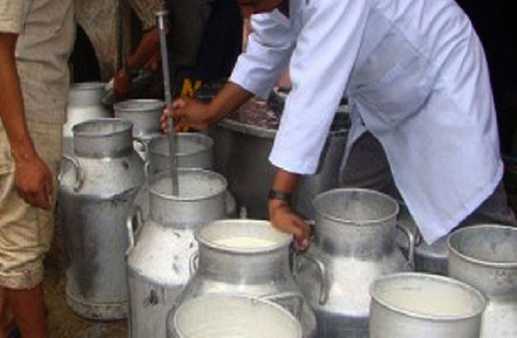 दूध नबिक्दा किसानलाई दैनिक १३ लाख क्षति