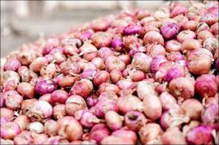 भारतले प्याज निकासीमा लगाएको प्रतिबन्ध पुस १७ गतेबाट फुकुवा गर्ने