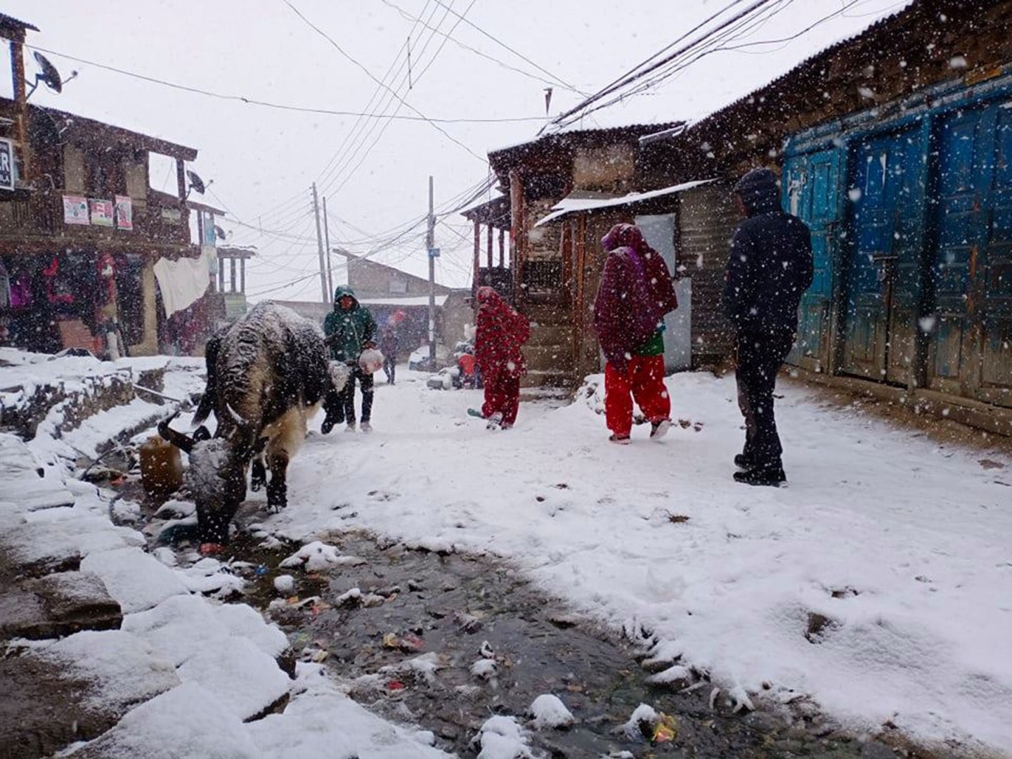 हिउँ र जाडो छल्न गाउँ छाड्दै घुन्साबासी