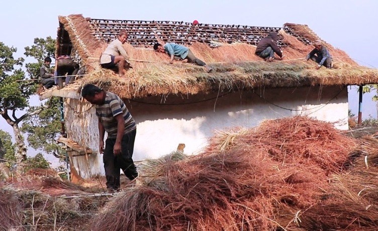 २९६ घरमा खरको छाना विस्थापित गरी कर्कटपाता