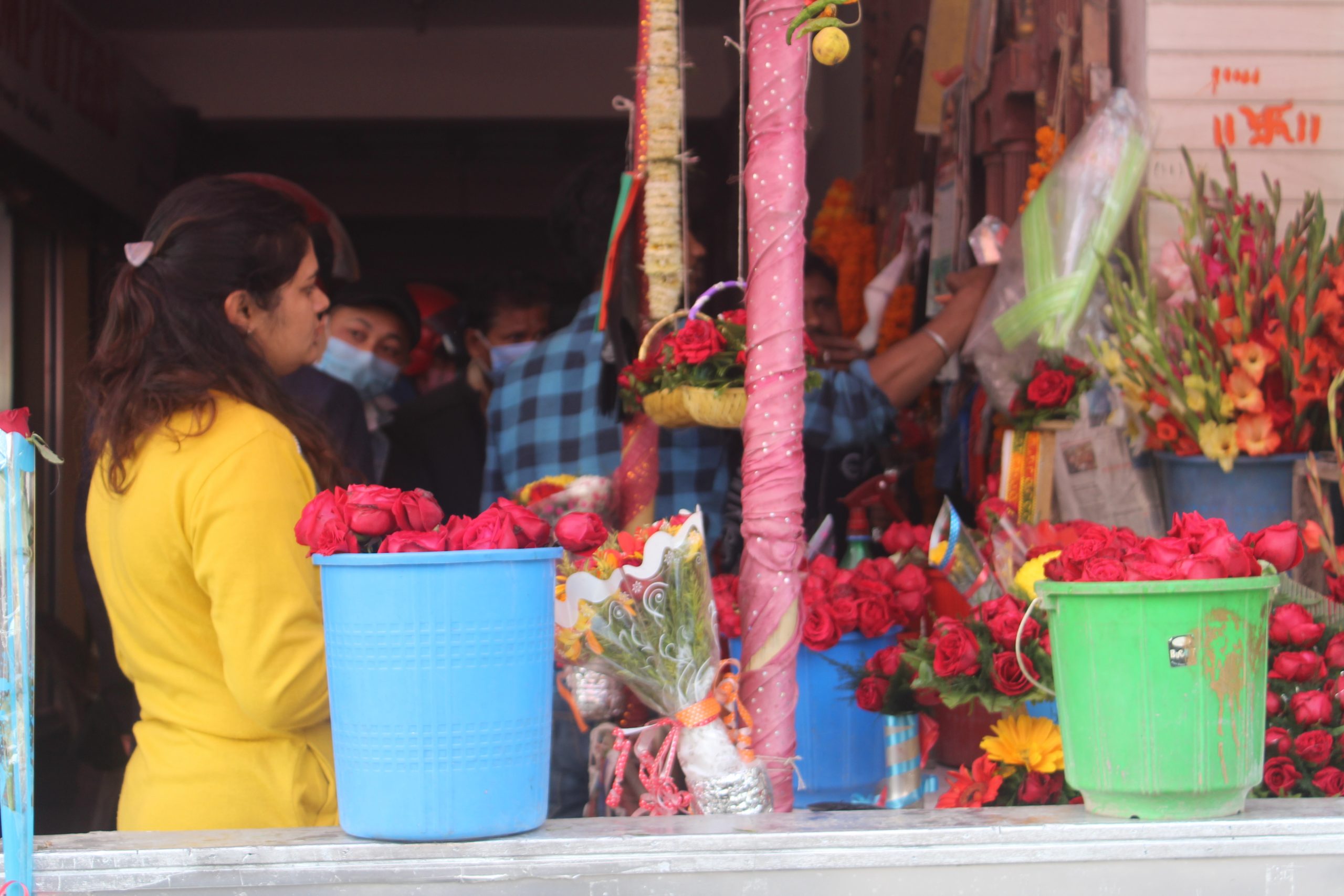 प्रणय दिवसमा प्रेमको बिशेष महत्व बोकेको गुलाबको व्यापार यसबर्ष निराशाजनक