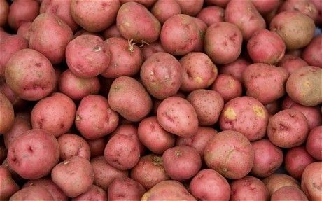 स्याङ्जामा फागुन ७ देखि प्रथम आलु महोत्सव हुने