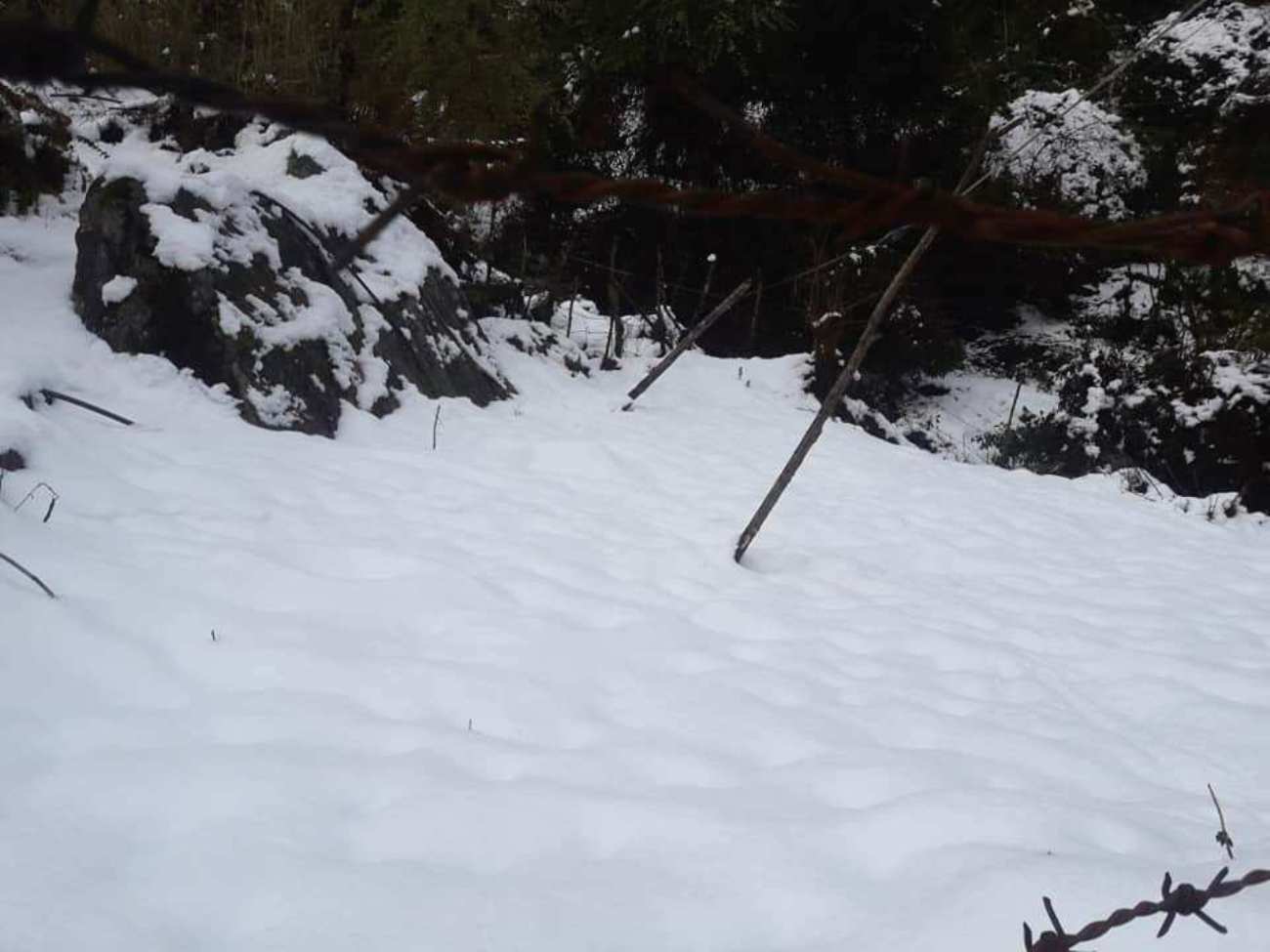 चार दिनदेखि परेको हिमपातका कारण सङ्खुवासभाको उच्च हिमाली क्षेत्रका स्थानीयवासीको जनजीवन कष्टकर  बन्दै