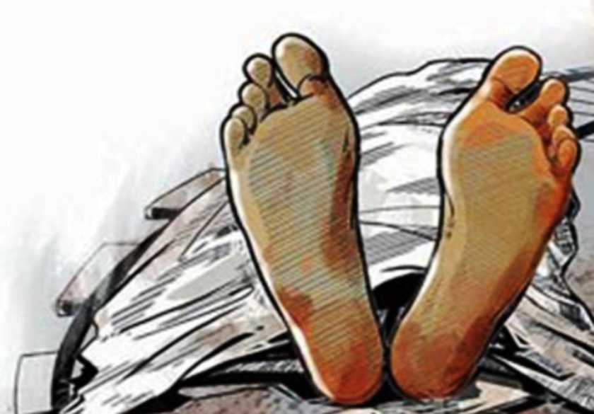 रुखको हाँगाले लागेर बृद्धको मृत्यु