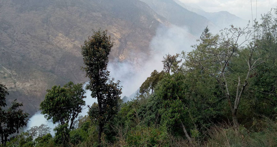 शिवपुरी राष्ट्रिय निकुञ्जको जंगलमा पुन आगलागी