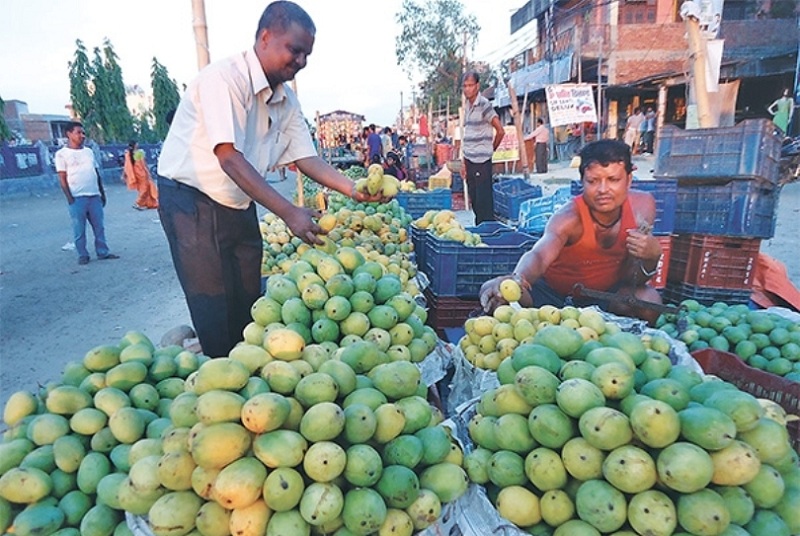सर्लाहीका बजारमा विषादीयुक्त आँप बिक्री वितरण