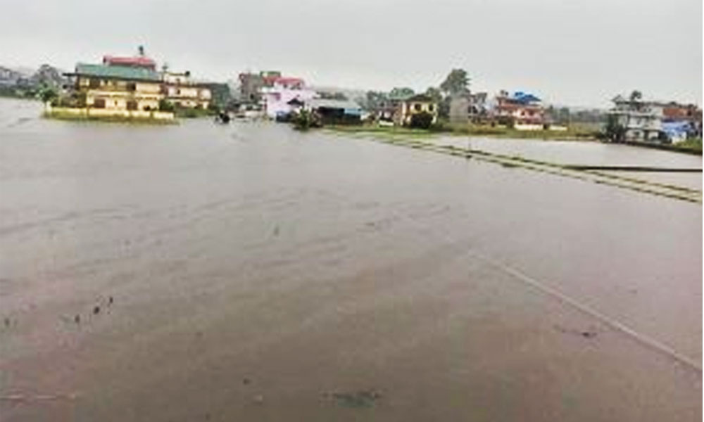 पूर्वी तराईमा भारी वर्षा, सतर्कता अपनाउन अपील