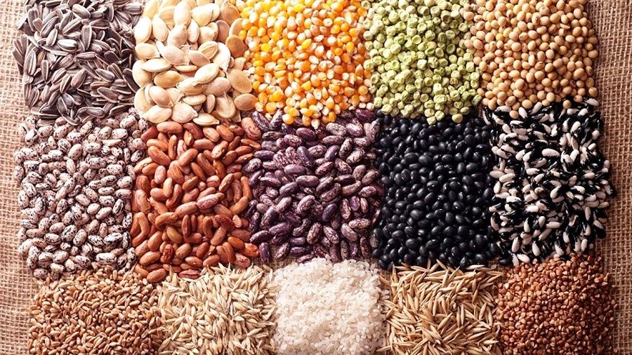 सुर्खेतमा कर्णाली प्रदेशको पहिलो बीउ उद्योग स्थापना