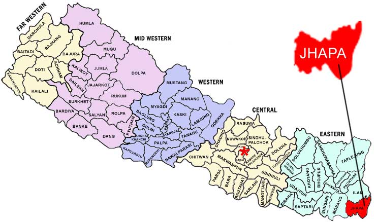 भारतबाट आयातित माछा बिक्रीमा रोक