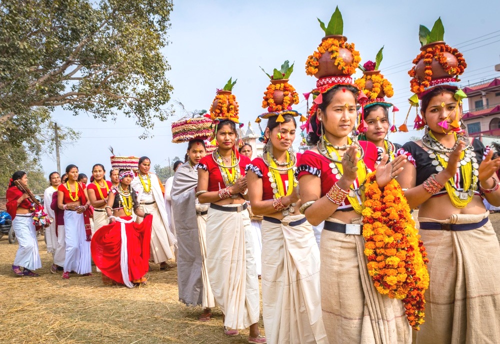 आज थारु समुदायले माघी पर्व मनाउँदै