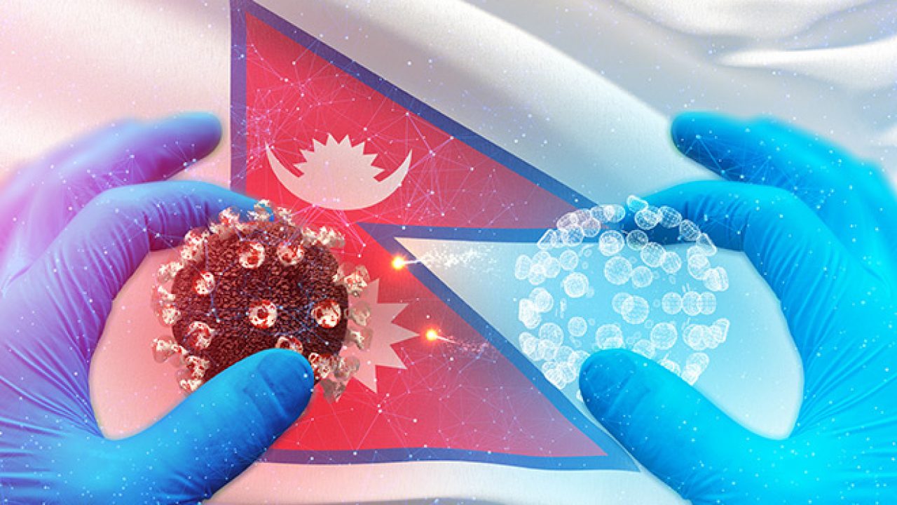 चौबीस घण्टामा थप १० जनामा कोरोना भाइरस संक्रमण पुष्टि