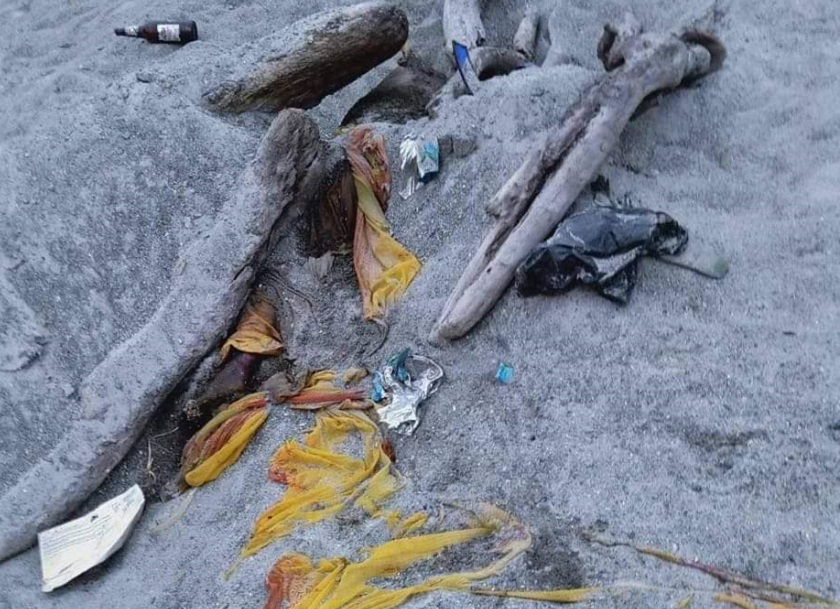 हजुरआमाको हत्या अभियोगमा नाति पक्राउ
