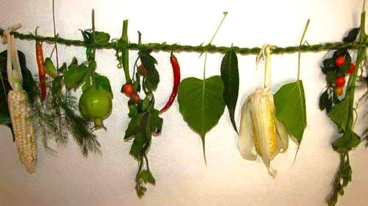 सिसेक्वा तङनाम मनाउँदै लिम्बू समुदाय
