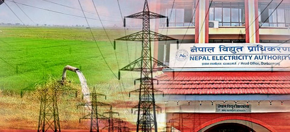 प्राधिकरणको नाफामा छलाङ