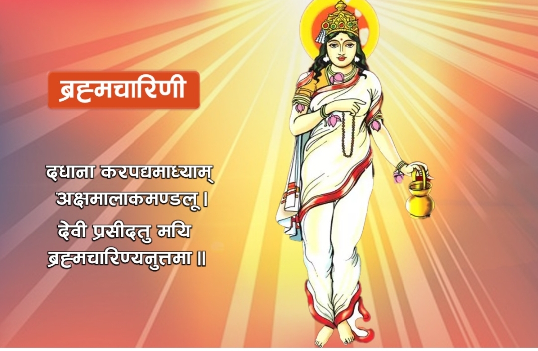 Websoft IT Nepal Pvt. Ltd.
